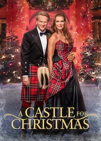A Castle For Christmas