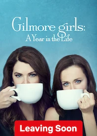 Gilmore Girls: A Year in the Life