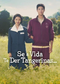 Se a Vida Te Der Tangerinas…